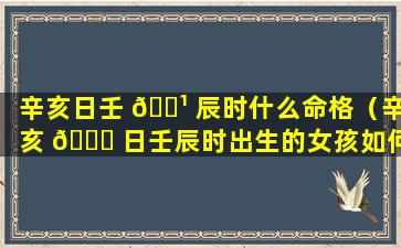 辛亥日壬 🌹 辰时什么命格（辛亥 🐒 日壬辰时出生的女孩如何是好）